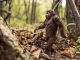 Bigfoot Sighting Leads To Gunfire In Kentucky Park
