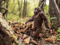 Bigfoot Sighting Leads To Gunfire In Kentucky Park